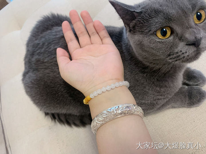 老宝成——六合同春 （浮雕翡翠珍珠底款）_手镯银