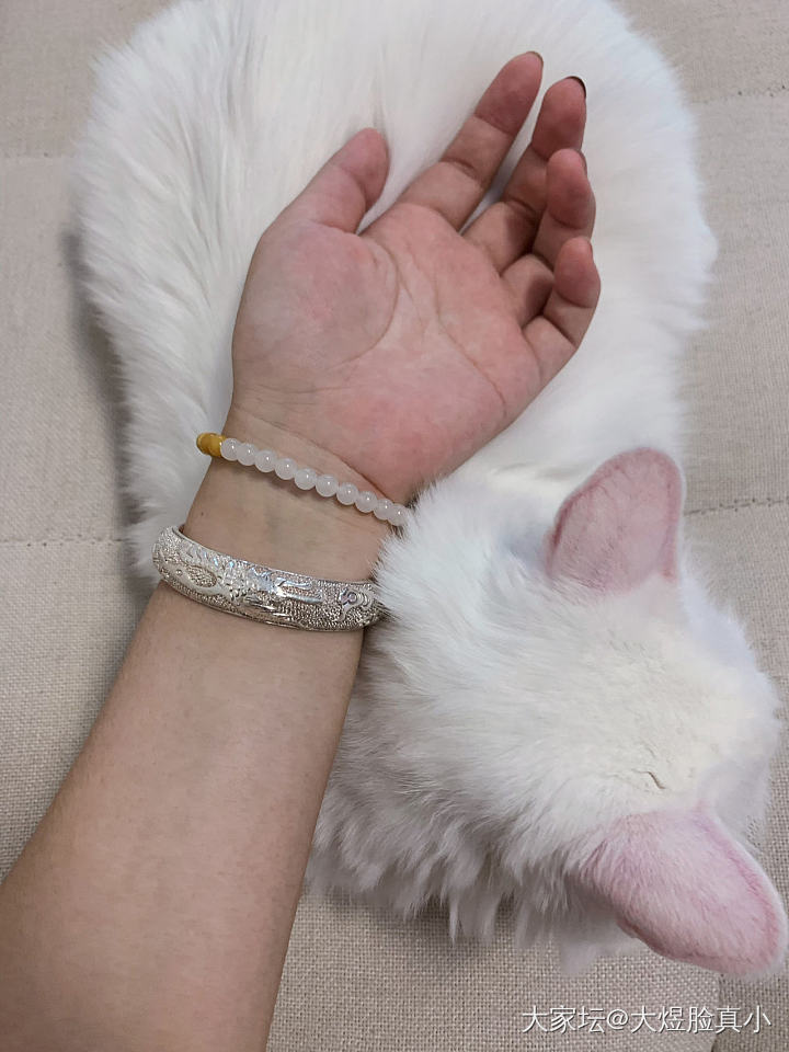 老宝成——六合同春 （浮雕翡翠珍珠底款）_手镯银
