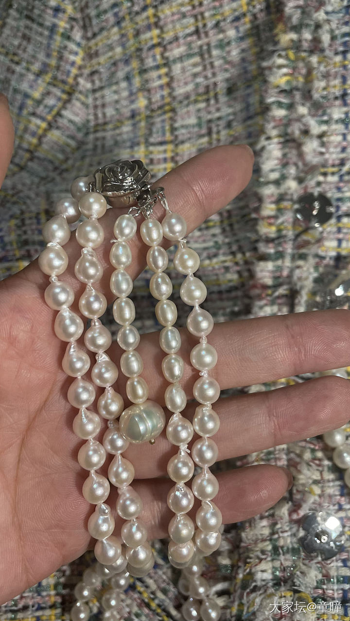 我常带的珍珠_珍珠