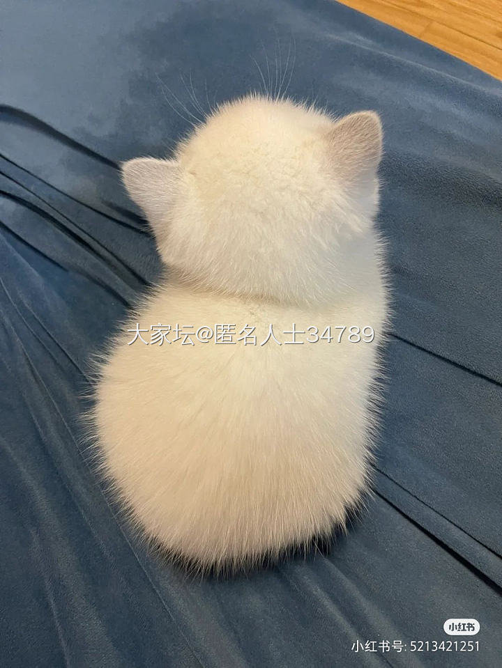 两包二留一请问坛子姐妹怎么选_包包