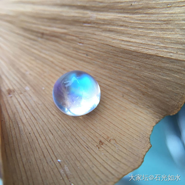 一颗小耗子_月光石