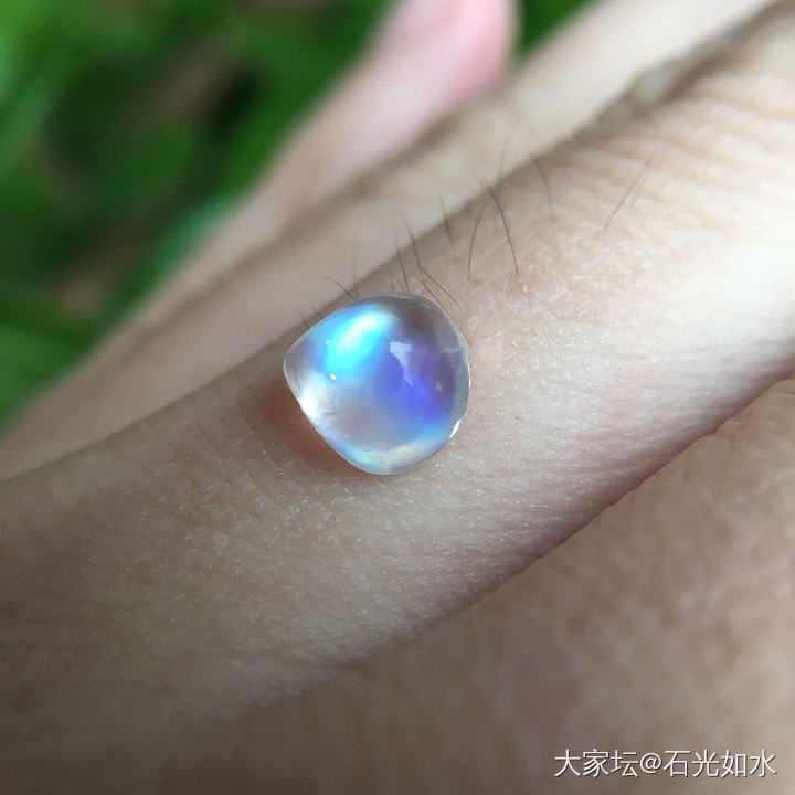 一颗小耗子_月光石