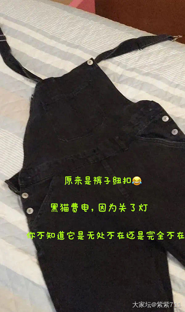 以为猫死了😂_故事猫闲聊