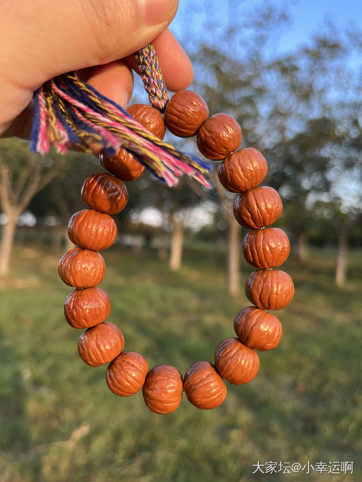 今天的左手很喜欢_金文玩
