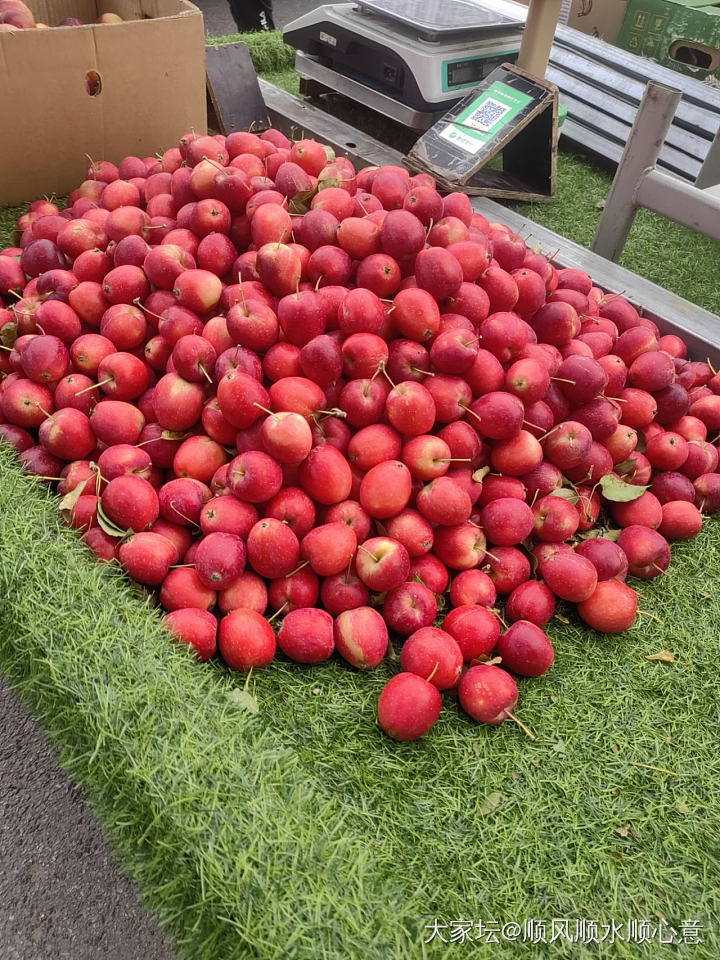 早市溜达一圈_食材