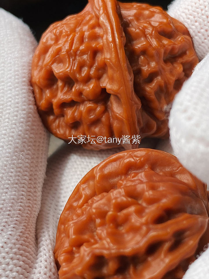 终于没白费！_核桃