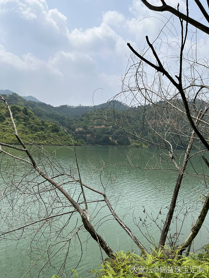 只是来摘大油柑的，而不是钓鱼😫。
拿衣服兜果子，好多年没试过了😬_旅游