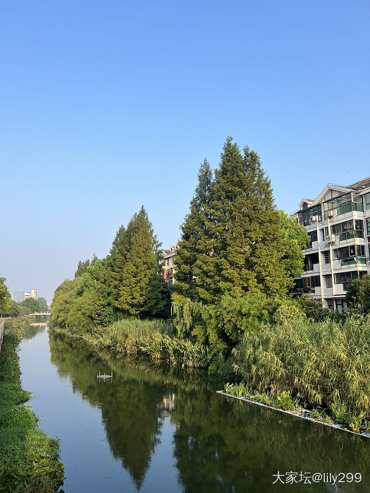 谁收了花香家九宸籽手镯53圈口的。_网店商家