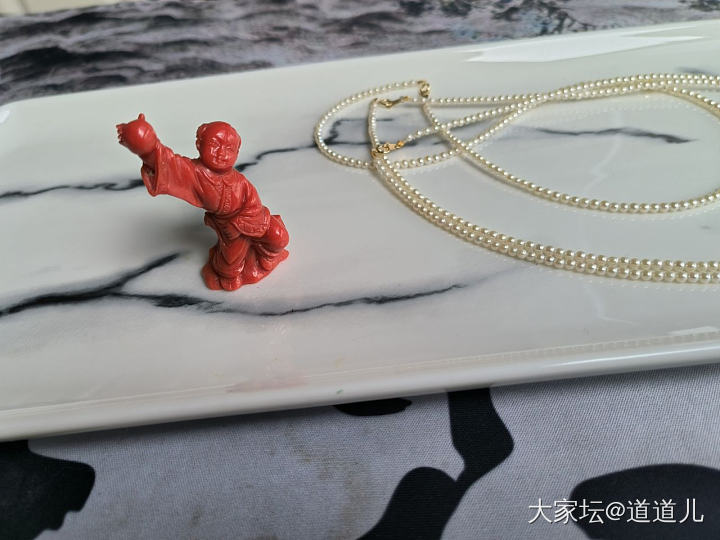 红童子太赞了_珊瑚