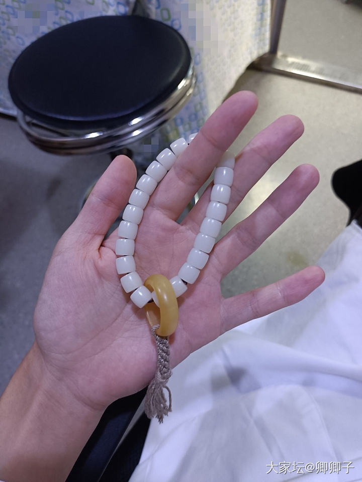 白玉菩提_菩提子