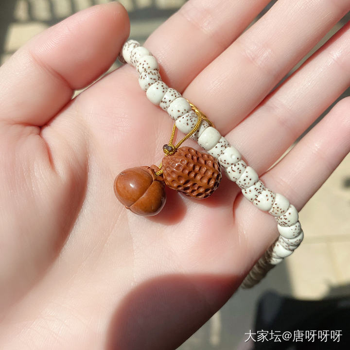 阳光正好～晒晒串儿～_珠串菩提子