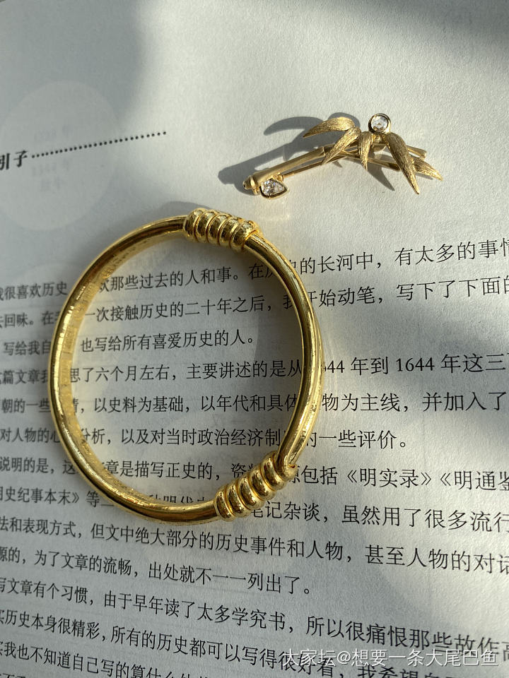 振贤玥珥和竹子胸针_胸饰匠人金