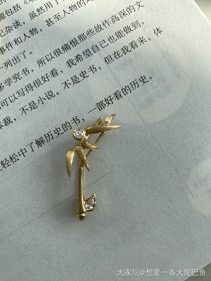 振贤玥珥和竹子胸针_胸饰匠人金