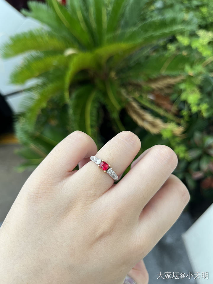 红尖晶坛红戒指_彩色宝石