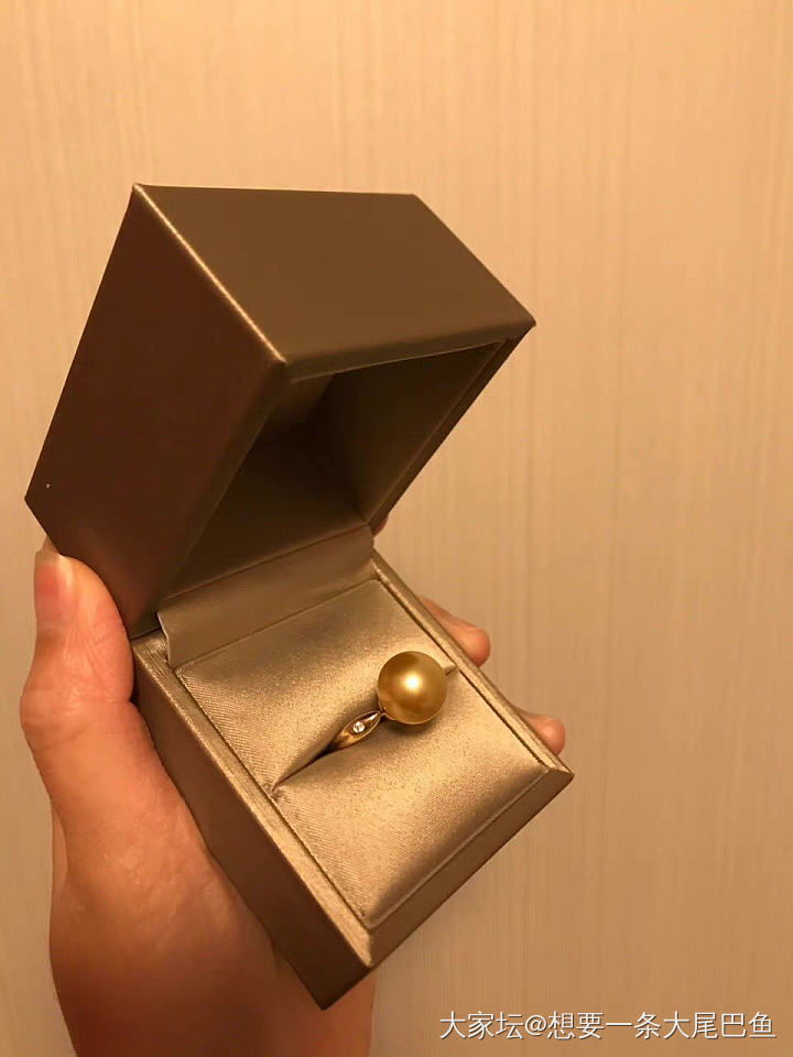 一颗爱自由的金🐷_珍珠金