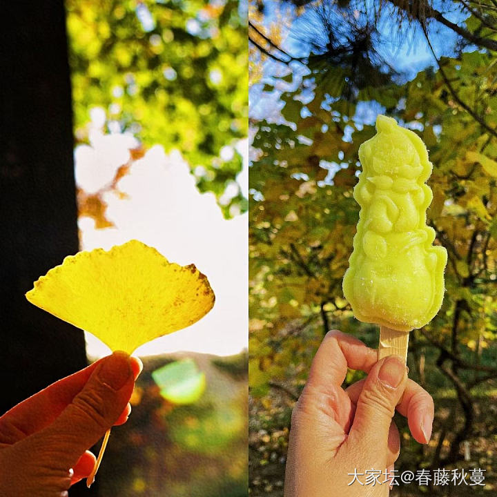 秋天啦，突然翻出去年的照片，北京的秋真美_景色