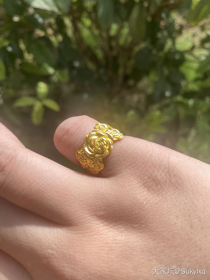 校长家的山茶花_戒指金
