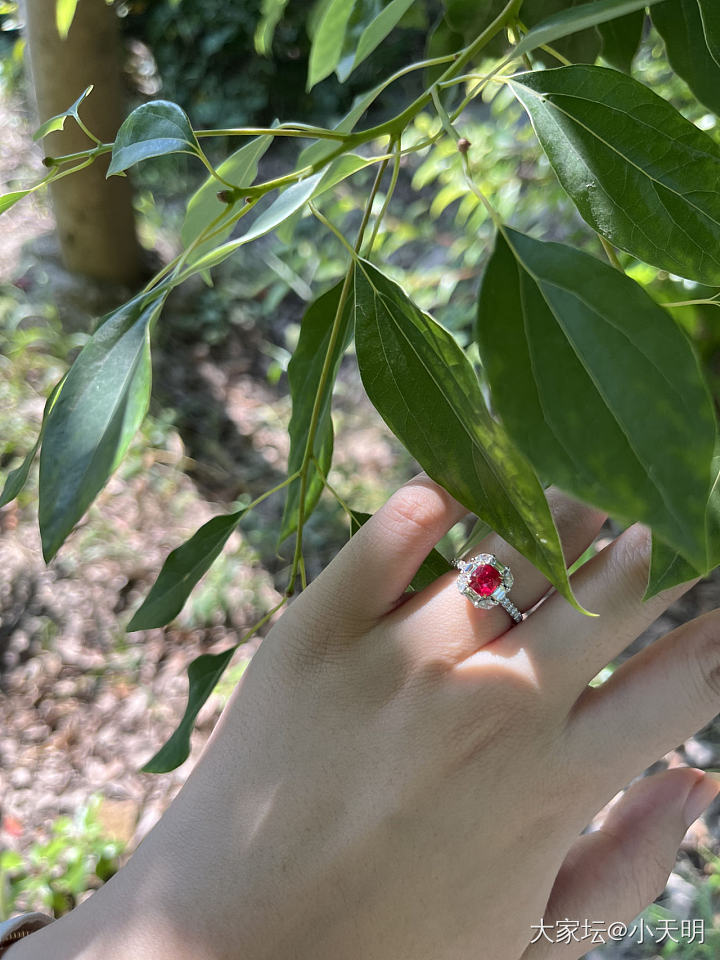 值班摸鱼拍拍拍，红尖晶遇到太阳马上变身小火球_戒指尖晶石