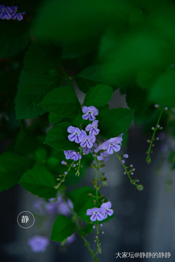 我钟爱的葫芦啊_首饰和田玉