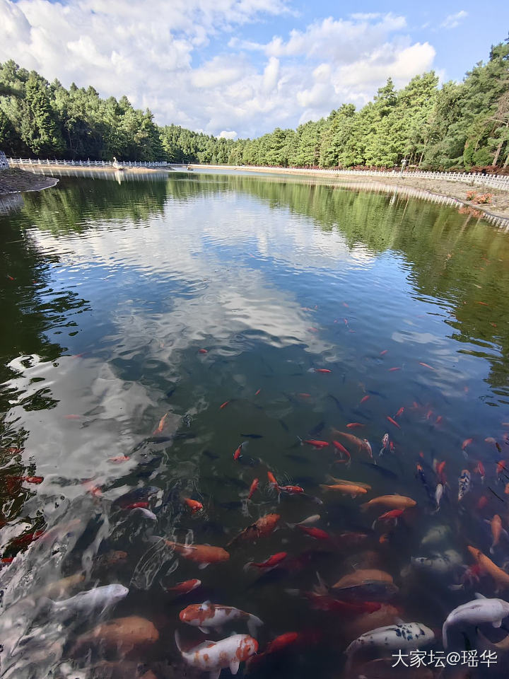 风景，喜欢牌坊上的龙_景色