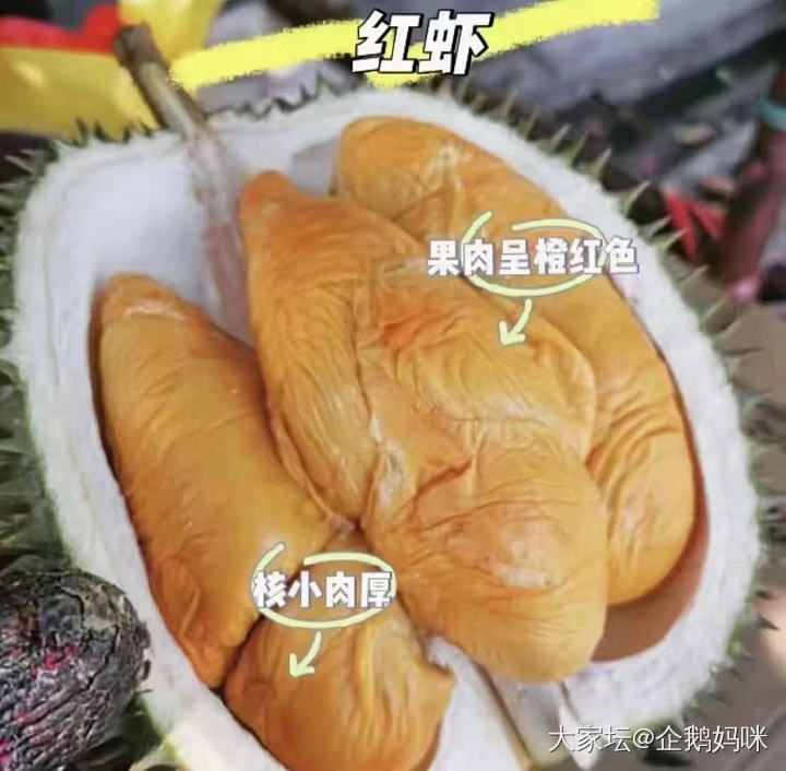 榴莲你喜欢吃红虾～猫山王～还是金枕～_水果美食