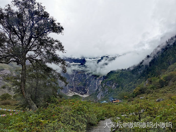 离开了但很想念_景色