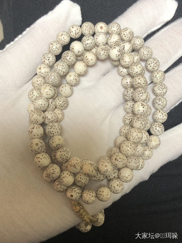 新入手的星月_菩提子