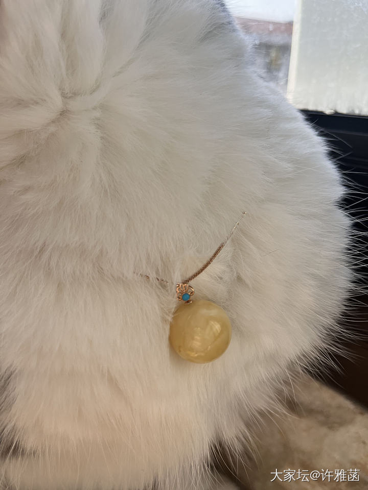 最近又回蜜蜡坑了晒晒珠子_琥珀蜜蜡