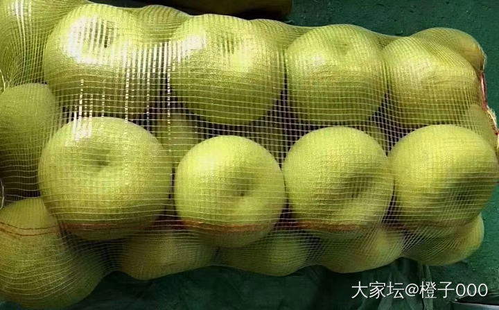 最后一批文旦柚，品质相对最好，刚摘下来的。坛友不加价，一斤3.5元_水果