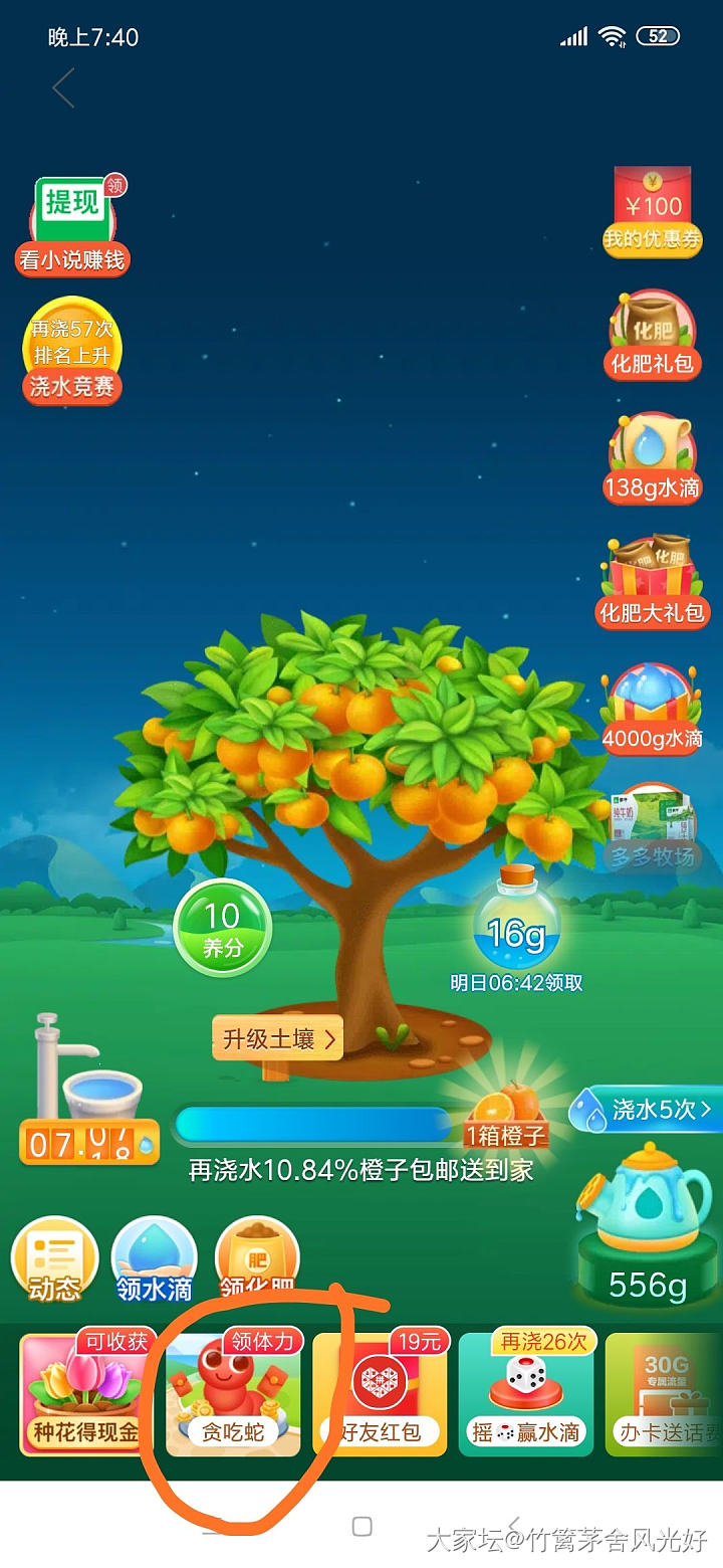 能给看看贪吃蛇吗_网络平台