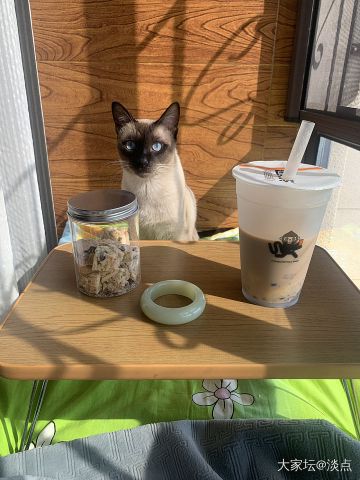 今天约了两个猫咪一起晒太阳、喝茶……_猫