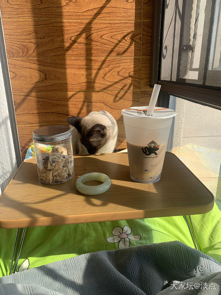 今天约了两个猫咪一起晒太阳、喝茶……_猫