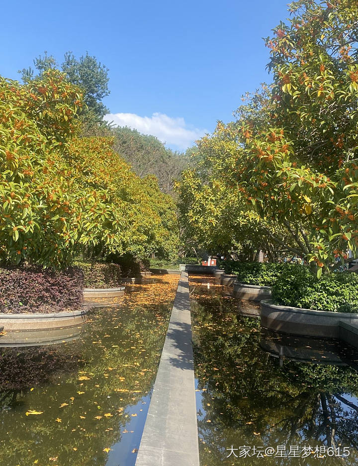 久违的灵湖，大中午走走逛逛拍拍照就一圈了！_景色