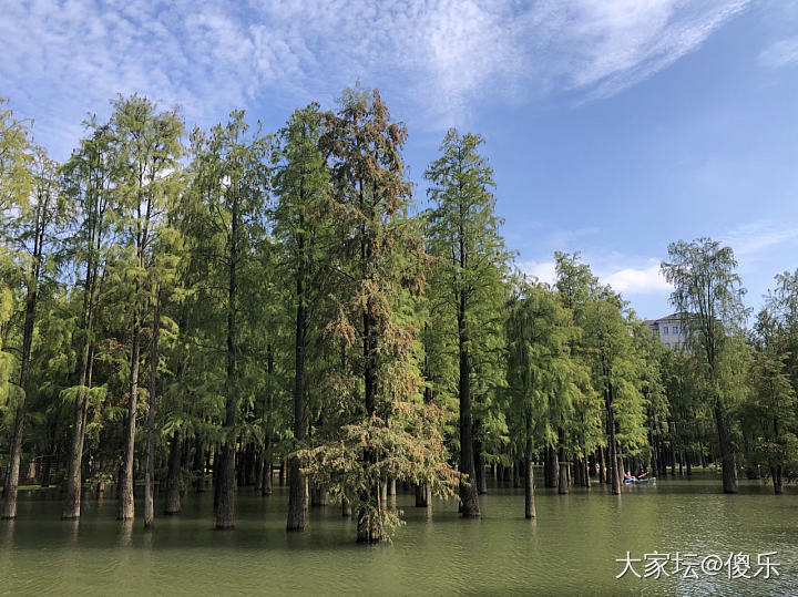 晒网红打卡地，水红包