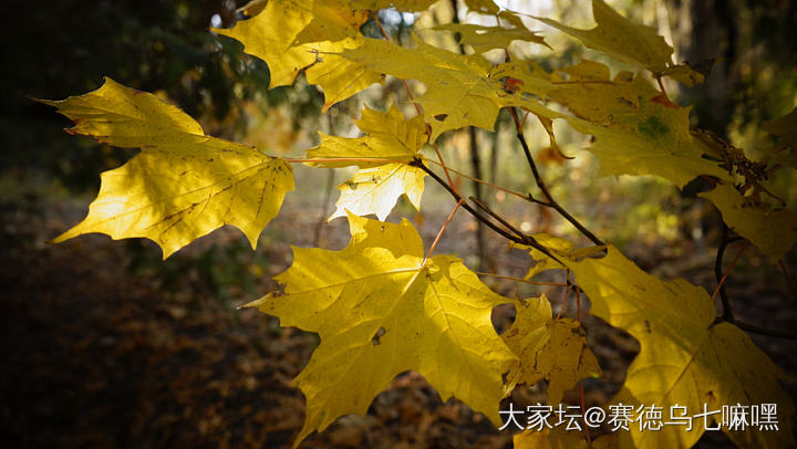 今天继续摸索_景色