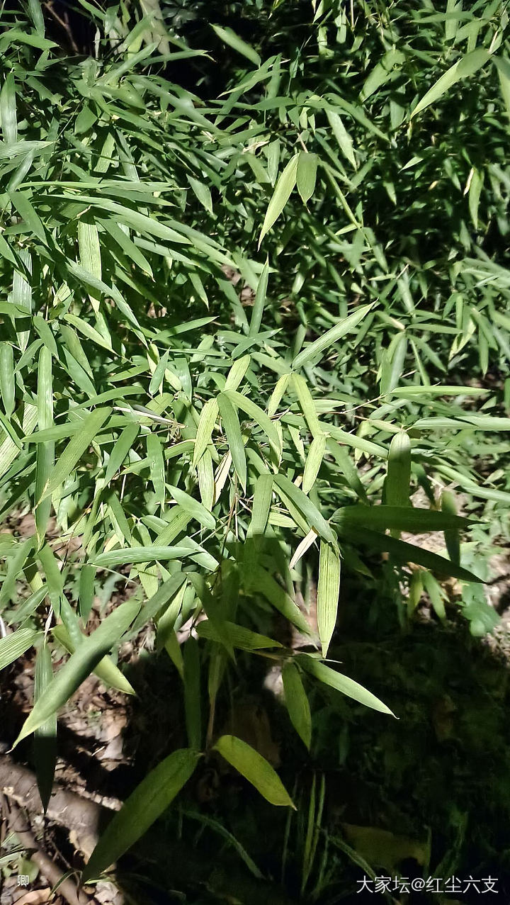 喜欢每天翻牌子的快乐时刻，但也可以手上没东西_生活