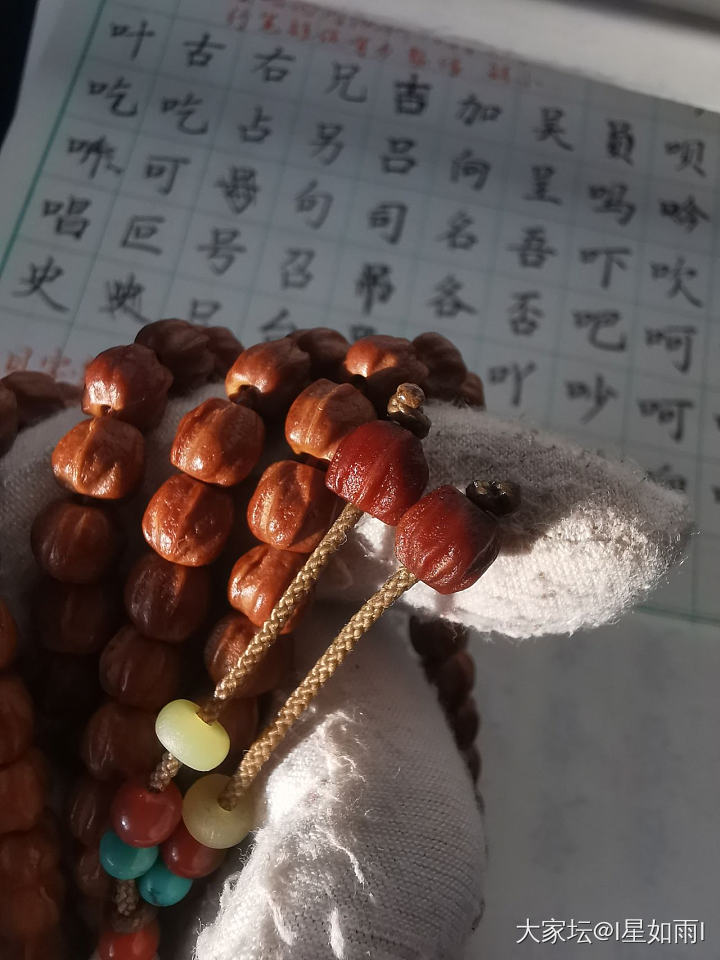 可算是又盘回来了_菩提子