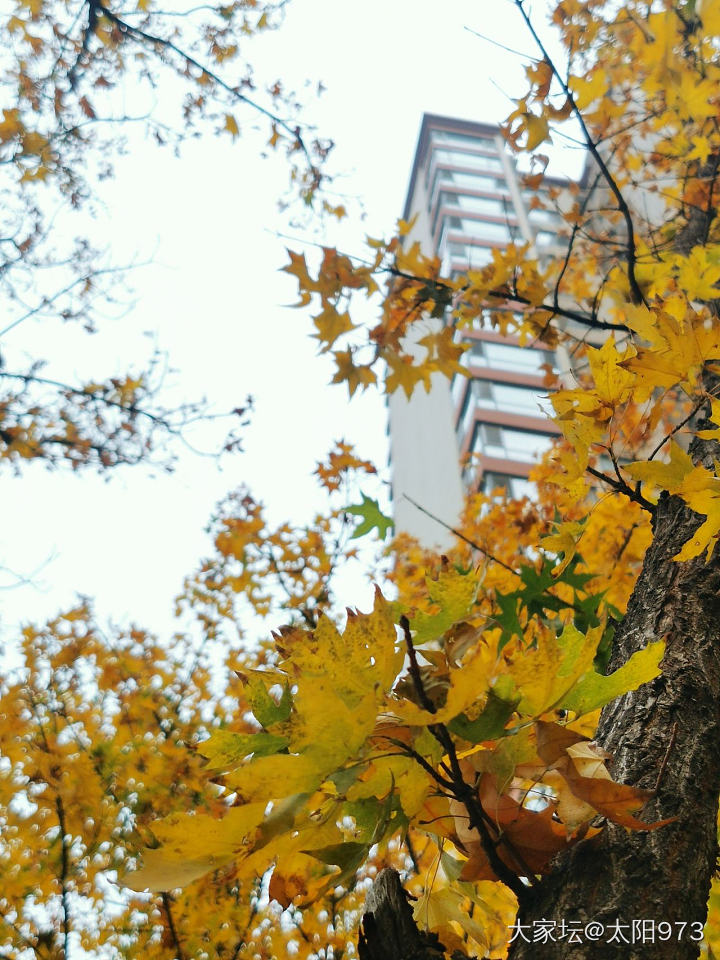 小区随手拍_景色