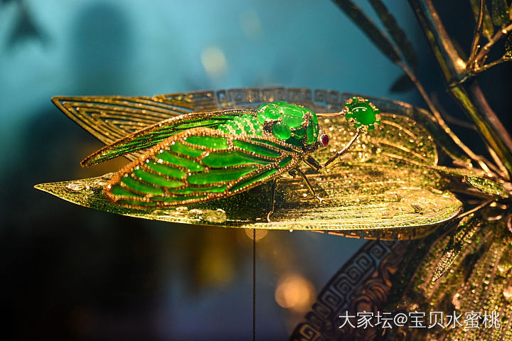 上海的姐妹们有眼福了！_展会翡翠