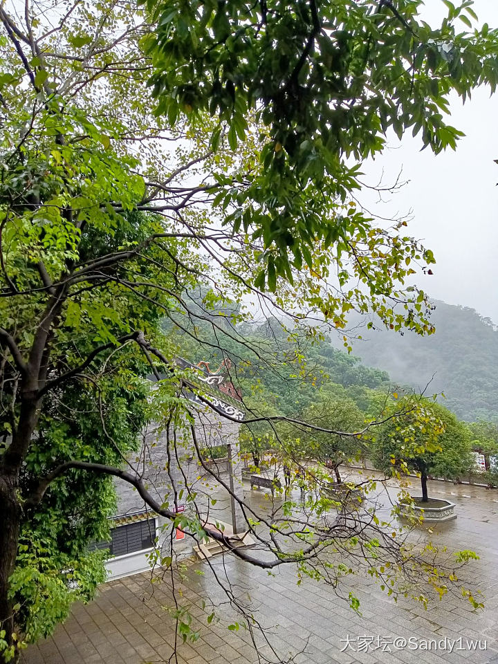 肇庆鼎湖，雨雾蒙蒙的天，空气清新，负离子高！
神清气爽的上山，庆云寺上香，宝鼎园..._生活