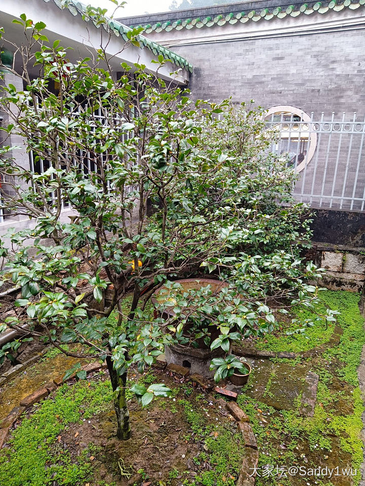 肇庆鼎湖，雨雾蒙蒙的天，空气清新，负离子高！
神清气爽的上山，庆云寺上香，宝鼎园..._生活