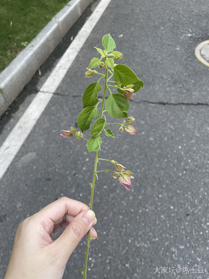 晒太阳，补补阳气。_闲聊