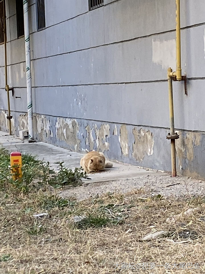 警惕性很高的小家伙们_猫