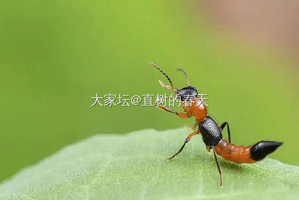 用了两年多时间自然修复的受损面部…_健康生活闲聊