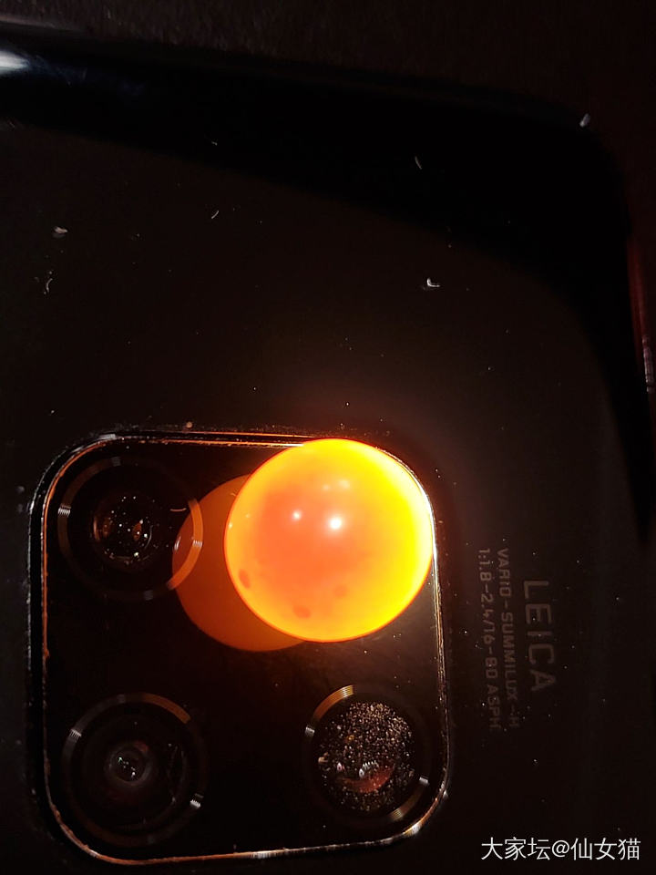 第一次买金珠，买了两对价格差10倍的裸珠_海水珍珠有机宝石