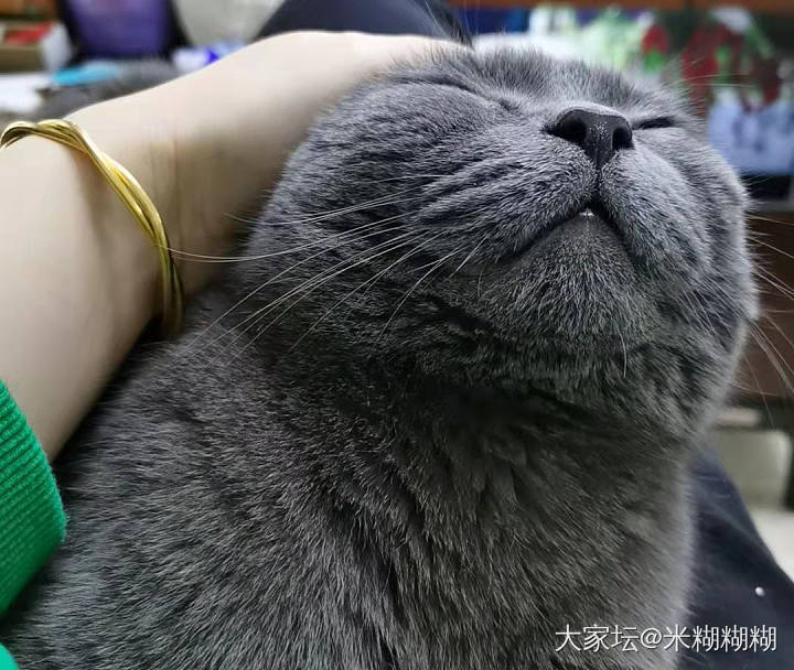 突击检查，晒出你的左右手_和田玉金
