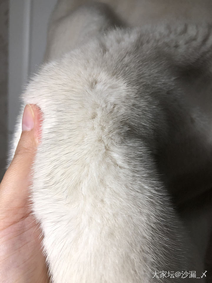 想看看大家的貂_穿搭