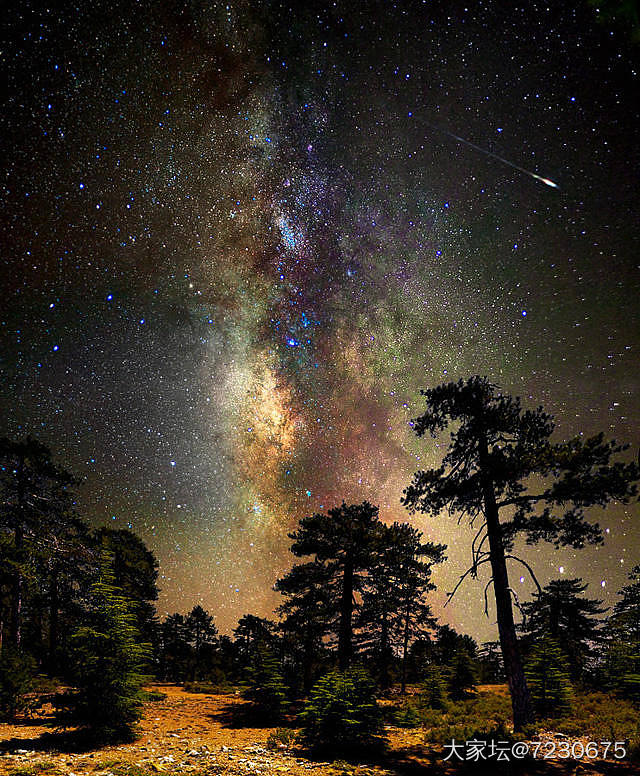 上海夜晚的星星呢_旅游