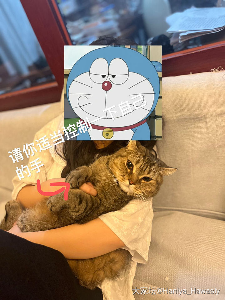 66来访记_狗猫