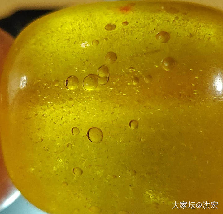 琥珀蜜蜡琥珀包裹体研究_琥珀蜜蜡